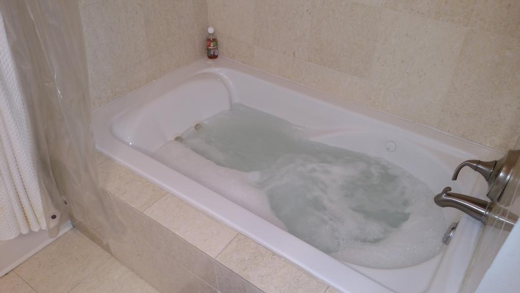סנט לואיס Benton Park Inn מראה חיצוני תמונה